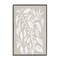 Stupell Industries Chalk Sketch Botanicals Framed Giclee Wall Art Design by Martina Pavlova